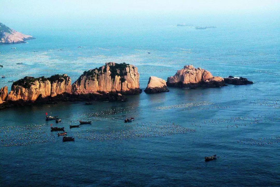 放假啦!浙大学子的寒假计划是什么?