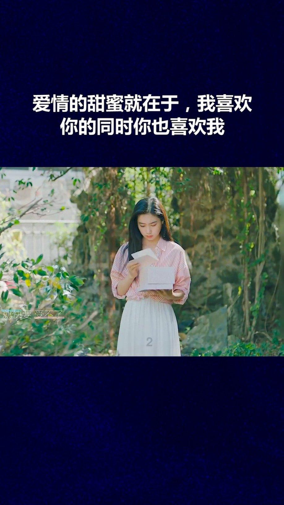 动物帮帮忙保卫家园