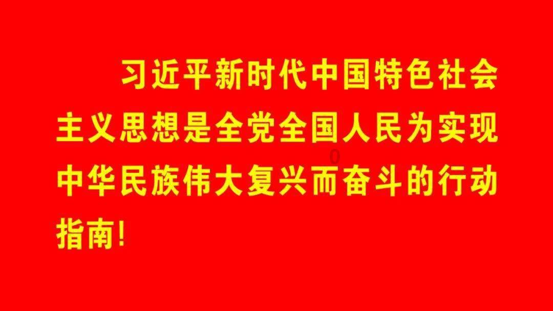 坚持和发展巡察村(社区)“林州模式” 推进基层治理体系和治理能力现代化