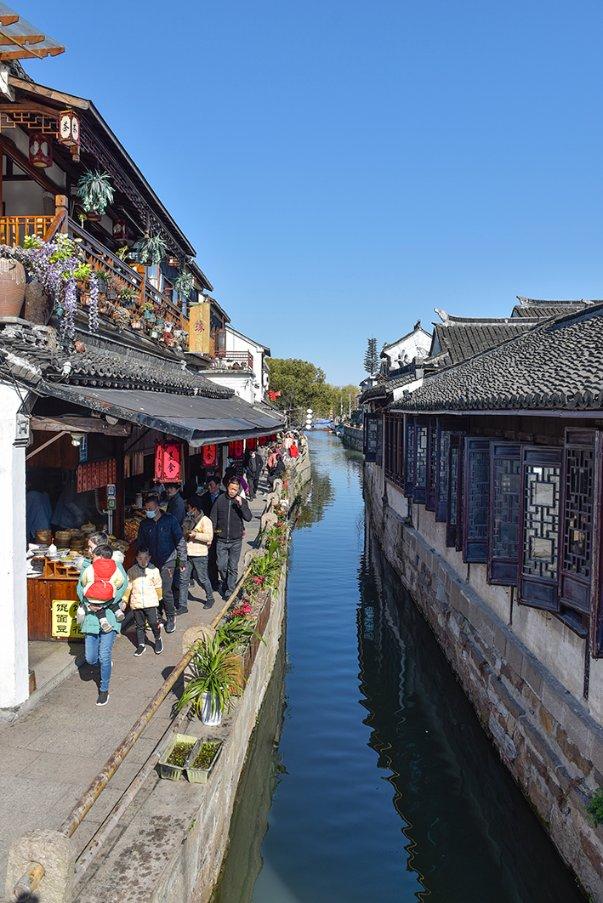 动物帮帮忙保卫家园