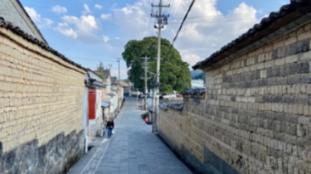 虫虫助手下载